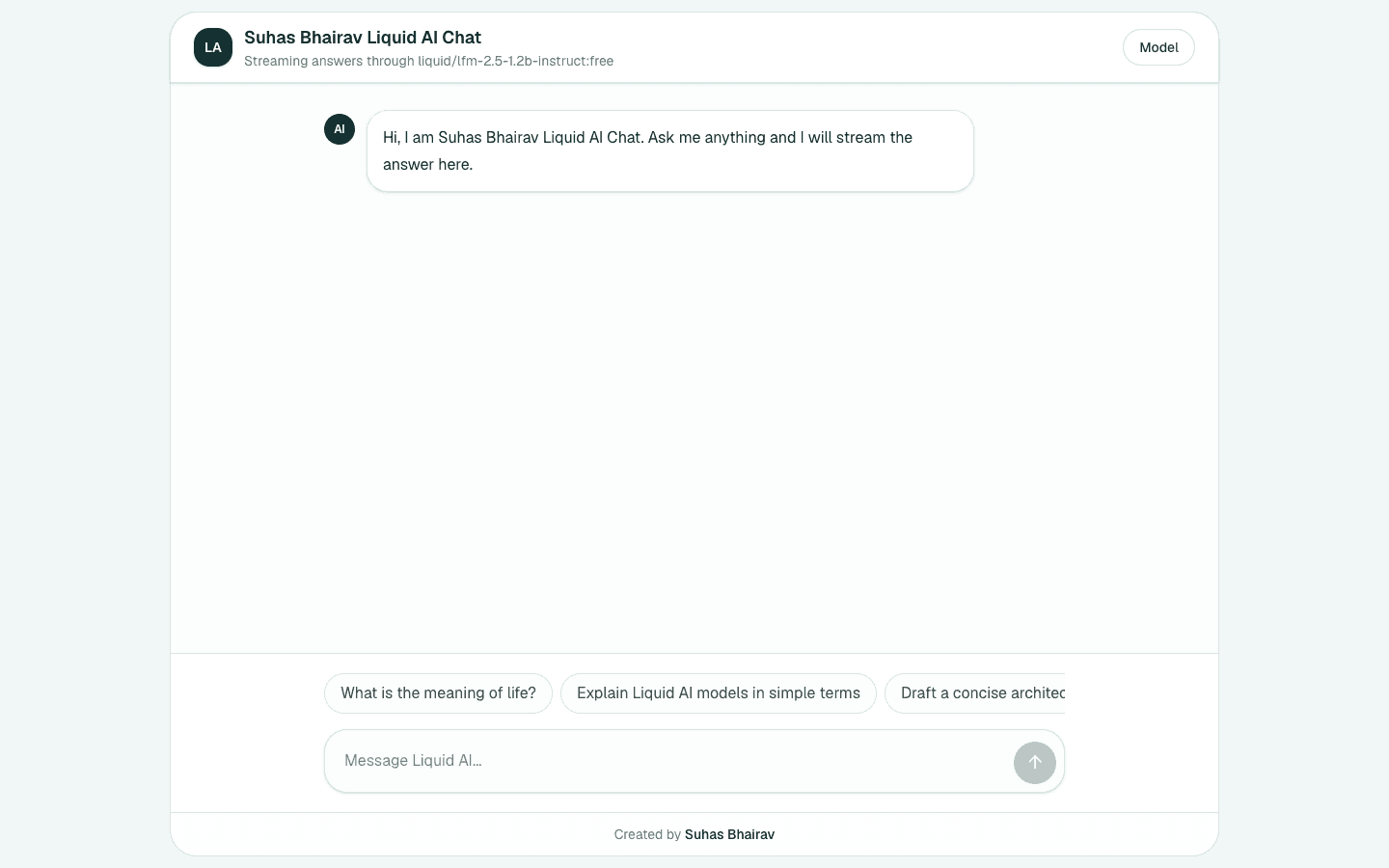Liquid AI Chatbot Next.js AI template interface